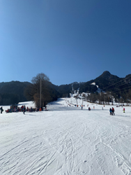 Beste Schnee- und Wetterverhältnisse während des SABEL FOS Ski-Ausflugs